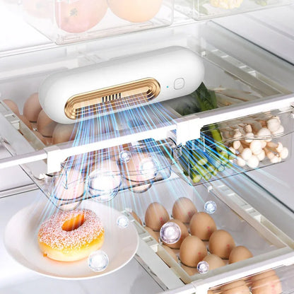 Fresh Fridge Deodorizer